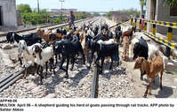 Filename=APP48-06Multan~1.jpg
Filesize=363KiB
Dimensions=1200x766
Date added=Apr 06, 2020 APP48-06Multan~1.jpg