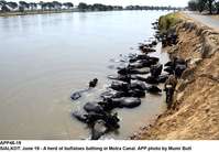 Filename=APP48-19Sialkot~0.jpg
Filesize=235KiB
Dimensions=1200x831
Date added=Jun 19, 2019 APP48-19Sialkot~0.jpg
