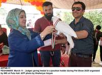 Filename=APP49-11Peshawar~0.jpg
Filesize=179KiB
Dimensions=1200x884
Date added=Mar 11, 2020 APP49-11Peshawar~0.jpg