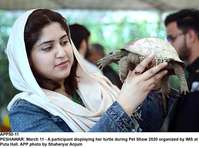 Filename=APP50-11Peshawar~0.jpg
Filesize=174KiB
Dimensions=1200x893
Date added=Mar 11, 2020 APP50-11Peshawar~0.jpg