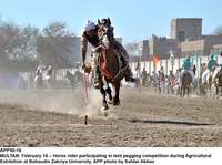 Filename=APP50-16Multan~1.jpg
Filesize=274KiB
Dimensions=1200x896
Date added=Feb 16, 2020 APP50-16Multan~1.jpg