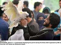 Filename=APP51-11Peshawar.jpg
Filesize=132KiB
Dimensions=1200x889
Date added=Mar 11, 2020 APP51-11Peshawar.jpg