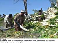 Filename=APP51-18Peshawar.jpg
Filesize=295KiB
Dimensions=1200x892
Date added=Mar 18, 2019 APP51-18Peshawar.jpg
