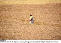 Filename=APP52-29Larkana.jpg
Filesize=265KiB
Dimensions=1000x720
Date added=Mar 29, 2018 APP52-29Larkana.jpg