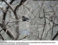 Filename=APP56-12Rawalpindi.jpg
Filesize=196KiB
Dimensions=1200x929
Date added=Feb 12, 2019 APP56-12Rawalpindi.jpg