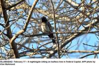 Filename=APP56-17Islamabad~0.jpg
Filesize=239KiB
Dimensions=1200x803
Date added=Feb 17, 2020 APP56-17Islamabad~0.jpg