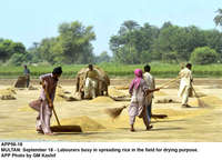 Filename=APP56-18Multan.jpg
Filesize=226KiB
Dimensions=1200x864
Date added=Sep 18, 2019 APP56-18Multan.jpg