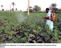 Filename=APP57-18Bahawalpur.jpg
Filesize=243KiB
Dimensions=1200x948
Date added=Sep 18, 2019 APP57-18Bahawalpur.jpg