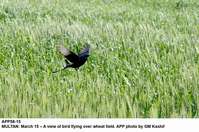 Filename=APP58-15Multan~0.jpg
Filesize=234KiB
Dimensions=1200x795
Date added=Mar 15, 2020 APP58-15Multan~0.jpg