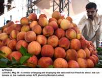 Filename=APP59-06Lahore~1.jpg
Filesize=172KiB
Dimensions=1200x918
Date added=May 06, 2020 APP59-06Lahore~1.jpg