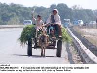 Filename=APP63-15Multan~0.jpg
Filesize=164KiB
Dimensions=1200x913
Date added=Mar 15, 2020 APP63-15Multan~0.jpg