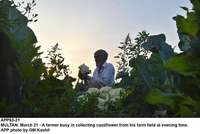 Filename=APP63-21Multan.jpg
Filesize=125KiB
Dimensions=1000x670
Date added=Mar 21, 2018 APP63-21Multan.jpg