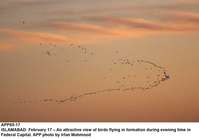 Filename=APP65-17Islamabad~3.jpg
Filesize=145KiB
Dimensions=1200x837
Date added=Feb 17, 2020 APP65-17Islamabad~3.jpg