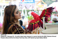 Filename=APP71-22Karachi~0.jpg
Filesize=209KiB
Dimensions=1200x807
Date added=Feb 22, 2019 APP71-22Karachi~0.jpg
