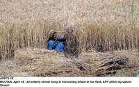 Filename=APP73-18Multan.jpg
Filesize=271KiB
Dimensions=1000x625
Date added=Apr 18, 2018 APP73-18Multan.jpg