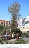 Filename=APP78-22Hyderabad.jpg
Filesize=431KiB
Dimensions=800x1303
Date added=Feb 22, 2019 APP78-22Hyderabad.jpg