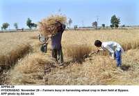 Filename=APP80-29Hyderabad.jpg
Filesize=237KiB
Dimensions=1000x696
Date added=Mar 29, 2018 APP80-29Hyderabad.jpg
