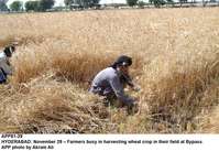 Filename=APP81-29Hyderabad.jpg
Filesize=286KiB
Dimensions=1000x688
Date added=Mar 29, 2018 APP81-29Hyderabad.jpg