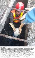 Filename=APP90-07Peshawar.jpg
Filesize=242KiB
Dimensions=900x1500
Date added=Feb 07, 2020 APP90-07Peshawar.jpg