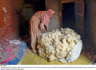 Filename=Pic01-008~28.jpg
Filesize=355KiB
Dimensions=2047x1504
Date added=Nov 01, 2020 Pic01-008~28.jpg