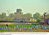 Filename=Pic01-058~25.jpg
Filesize=473KiB
Dimensions=2047x1468
Date added=Dec 01, 2020 Pic01-058~25.jpg