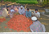 Filename=Pic01-059~25.jpg
Filesize=571KiB
Dimensions=2047x1431
Date added=Dec 01, 2020 Pic01-059~25.jpg