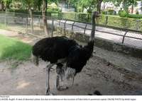 Filename=Pic03-023~26.jpg
Filesize=471KiB
Dimensions=2048x1466
Date added=Aug 03, 2020 Pic03-023~26.jpg
