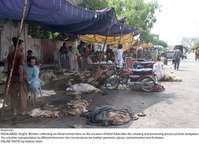 Filename=Pic03-032~28.jpg
Filesize=418KiB
Dimensions=2047x1478
Date added=Aug 03, 2020 Pic03-032~28.jpg