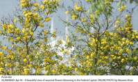 Filename=Pic04-002.jpg
Filesize=179KiB
Dimensions=1000x597
Date added=Apr 04, 2018 Pic04-002.jpg