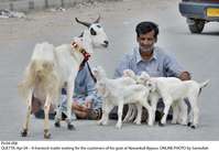 Filename=Pic04-006.jpg
Filesize=111KiB
Dimensions=1000x689
Date added=Apr 04, 2018 Pic04-006.jpg