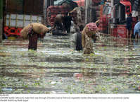 Filename=Pic04-041~28.jpg
Filesize=518KiB
Dimensions=2047x1483
Date added=Sep 04, 2020 Pic04-041~28.jpg
