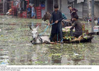 Filename=Pic04-043~29.jpg
Filesize=504KiB
Dimensions=2047x1487
Date added=Sep 04, 2020 Pic04-043~29.jpg