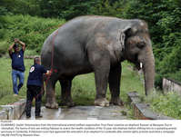 Filename=Pic04-047~27.jpg
Filesize=572KiB
Dimensions=2048x1552
Date added=Sep 04, 2020 Pic04-047~27.jpg