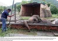 Filename=Pic04-048~27.jpg
Filesize=569KiB
Dimensions=2047x1452
Date added=Sep 04, 2020 Pic04-048~27.jpg