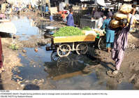 Filename=Pic05-006~32.jpg
Filesize=534KiB
Dimensions=2047x1441
Date added=Mar 05, 2021 Pic05-006~32.jpg
