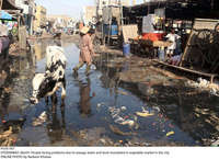 Filename=Pic05-007~33.jpg
Filesize=518KiB
Dimensions=2047x1485
Date added=Mar 05, 2021 Pic05-007~33.jpg