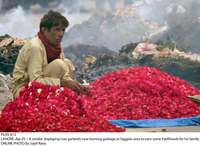 Filename=Pic05-012.jpg
Filesize=139KiB
Dimensions=1000x731
Date added=Apr 05, 2018 Pic05-012.jpg