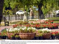 Filename=Pic06-008~20.jpg
Filesize=476KiB
Dimensions=1800x1324
Date added=Apr 06, 2020 Pic06-008~20.jpg