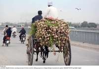 Filename=Pic06-022~23.jpg
Filesize=230KiB
Dimensions=2048x1436
Date added=May 06, 2020 Pic06-022~23.jpg
