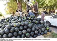 Filename=Pic07-025~24.jpg
Filesize=471KiB
Dimensions=2047x1484
Date added=May 07, 2020 Pic07-025~24.jpg