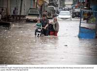 Filename=Pic07-043~27.jpg
Filesize=258KiB
Dimensions=2047x1497
Date added=Aug 07, 2020 Pic07-043~27.jpg