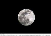 Filename=Pic07-085~9.jpg
Filesize=76KiB
Dimensions=1800x1288
Date added=Apr 07, 2020 Pic07-085~9.jpg
