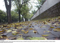 Filename=Pic08-009~31.jpg
Filesize=365KiB
Dimensions=2047x1473
Date added=Dec 08, 2020 Pic08-009~31.jpg