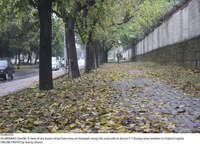 Filename=Pic08-010~31.jpg
Filesize=563KiB
Dimensions=2047x1475
Date added=Dec 08, 2020 Pic08-010~31.jpg