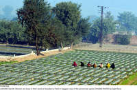 Filename=Pic08-028~29.jpg
Filesize=608KiB
Dimensions=2048x1354
Date added=Dec 08, 2020 Pic08-028~29.jpg