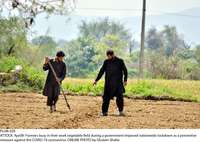 Filename=Pic08-029~22.jpg
Filesize=395KiB
Dimensions=1800x1281
Date added=Apr 08, 2020 Pic08-029~22.jpg