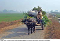 Filename=Pic08-029~29.jpg
Filesize=467KiB
Dimensions=2047x1425
Date added=Dec 08, 2020 Pic08-029~29.jpg