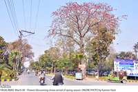 Filename=Pic09-029~10.jpg
Filesize=558KiB
Dimensions=1800x1200
Date added=Mar 09, 2019 Pic09-029~10.jpg