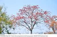 Filename=Pic09-030~10.jpg
Filesize=412KiB
Dimensions=1800x1182
Date added=Mar 09, 2019 Pic09-030~10.jpg