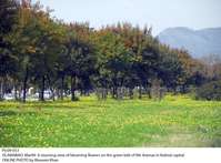 Filename=Pic09-053~20.jpg
Filesize=451KiB
Dimensions=1800x1330
Date added=Mar 09, 2020 Pic09-053~20.jpg